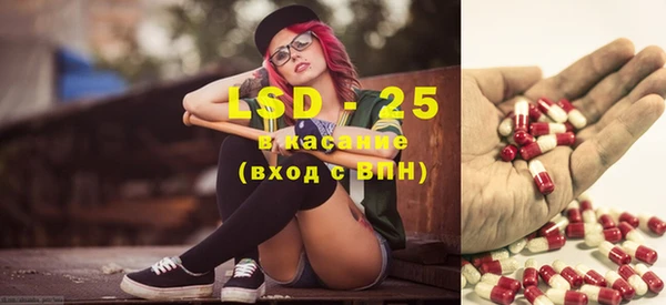 ГАЛЛЮЦИНОГЕННЫЕ ГРИБЫ Алексеевка