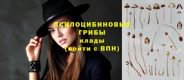 спайс Алексин