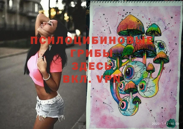 индика Аркадак
