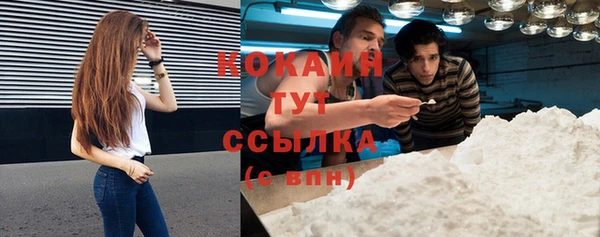 индика Аркадак
