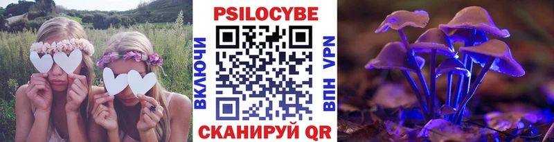 кракен tor где купить Новошахтинск Галлюциногенные грибы Magic Shrooms